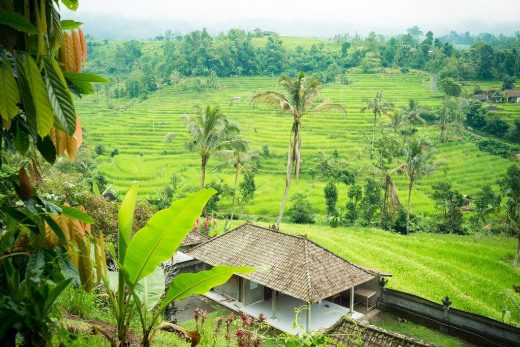 Best place to visit in ubud